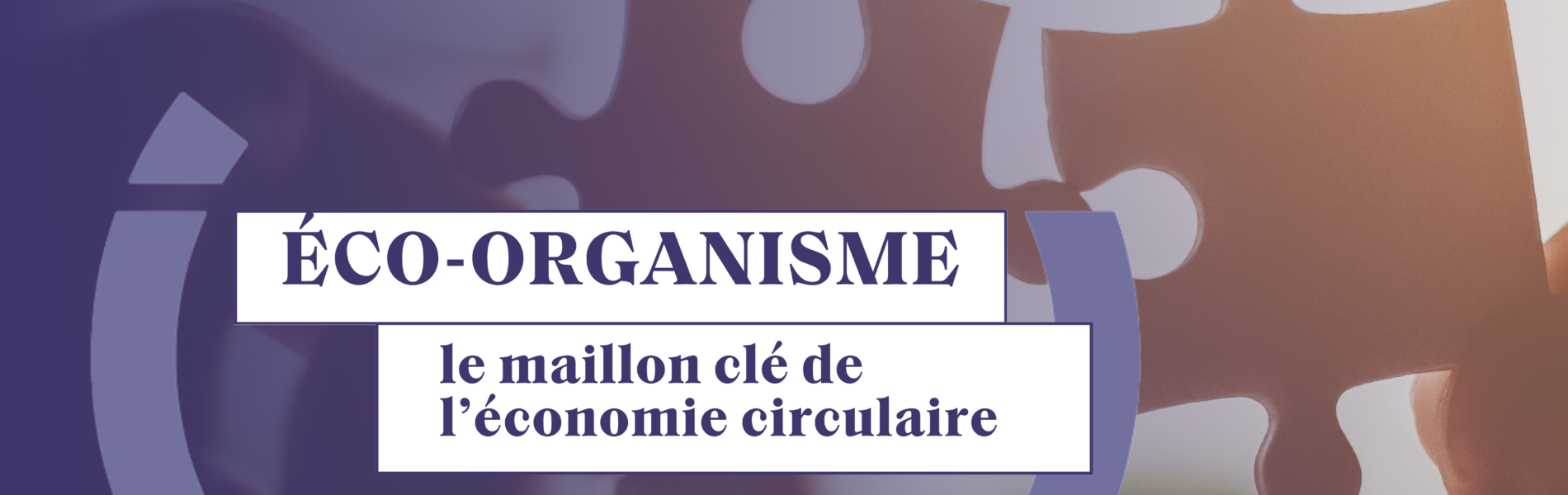 Visuels Articles Site (5)